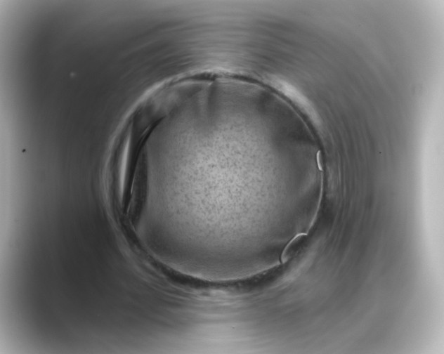 X0000088830580200706211816