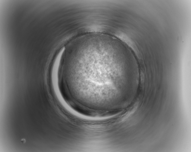 X0000088830581200706211816