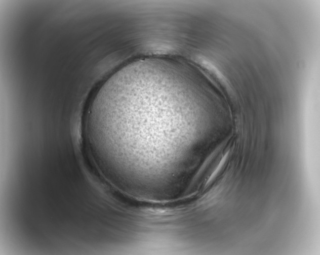 X0000088830582200706211816