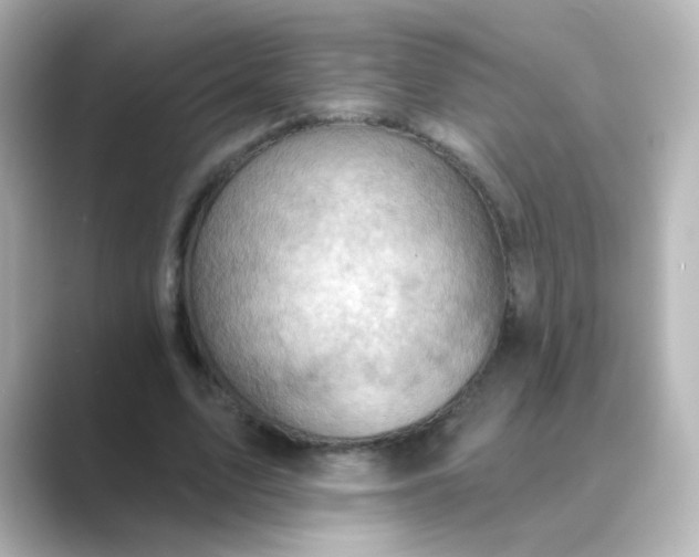 X0000088830583200706211816