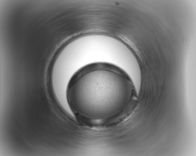 X0000088830584200706211816