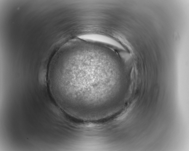 X0000088830585200706211816