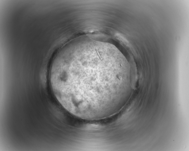 X0000088830586200706211816