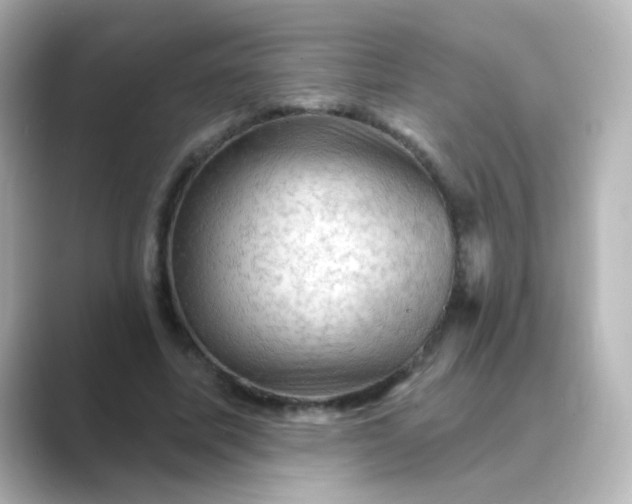 X0000088830587200706211816