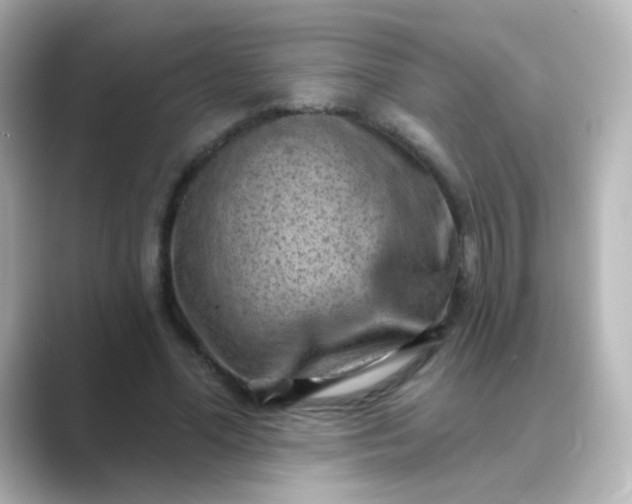 X0000088830588200706211816