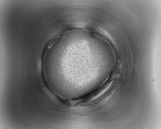 X0000088830589200706211816