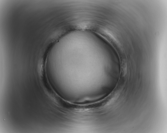 X0000088830590200706211816