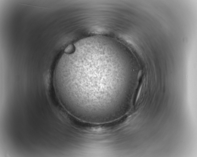 X0000088830591200706211816