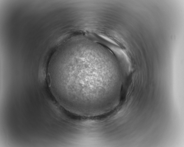 X0000088830593200706211816