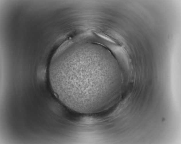 X0000088830596200706211816