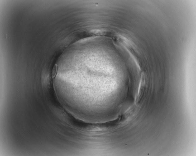 X0000088830597200706211816