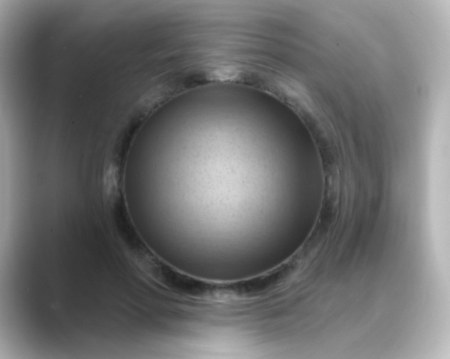 X0000088830598200706211816