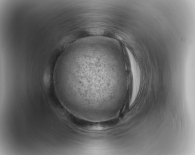 X0000088830600200706211816