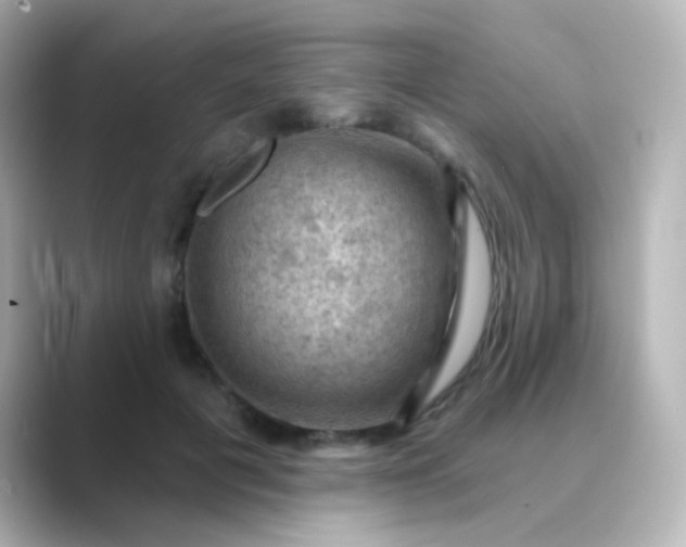 X0000088830601200706211816