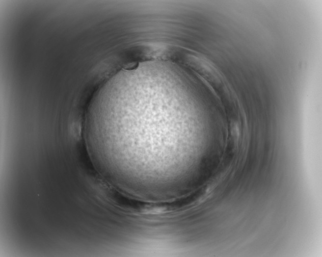 X0000088830602200706211816