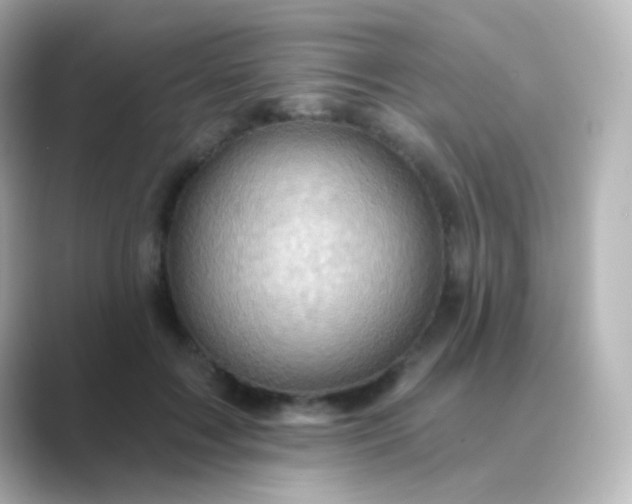 X0000088830603200706211816