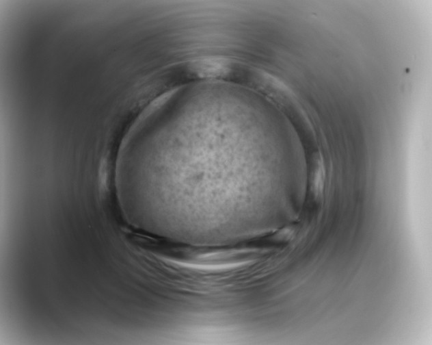 X0000088830604200706211816