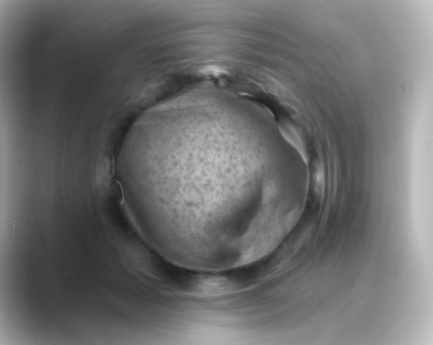 X0000088830605200706211816