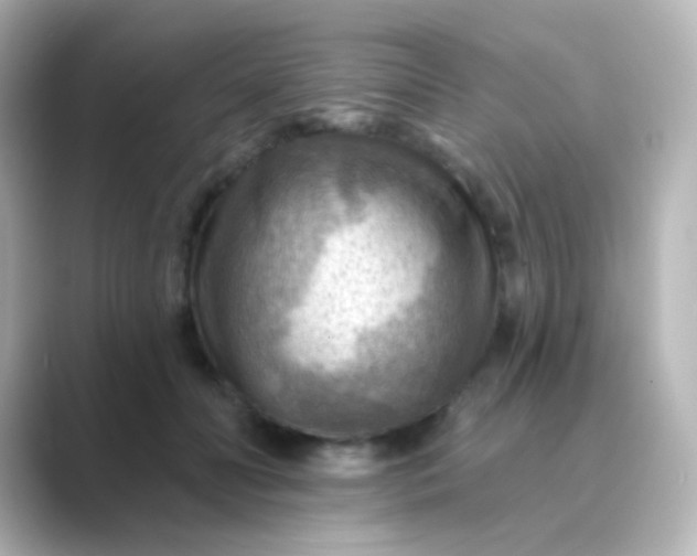 X0000088830606200706211816