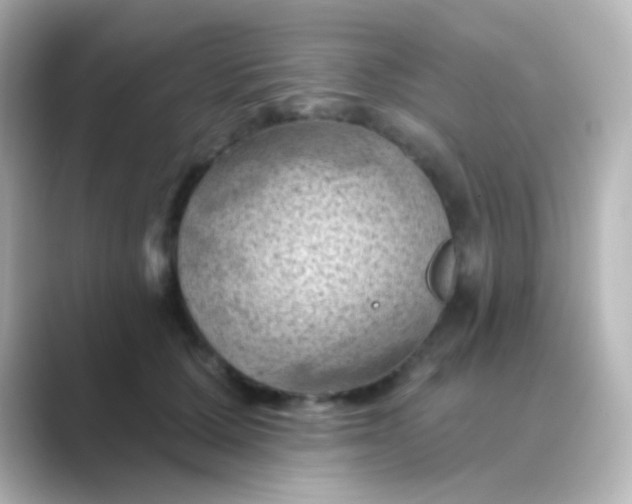 X0000088830607200706211816