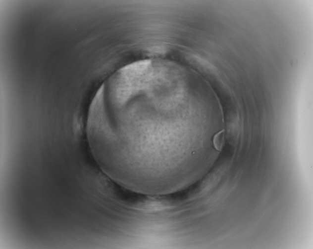 X0000088830608200706211816