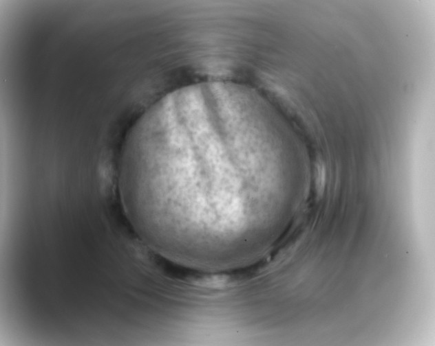 X0000088830609200706211816