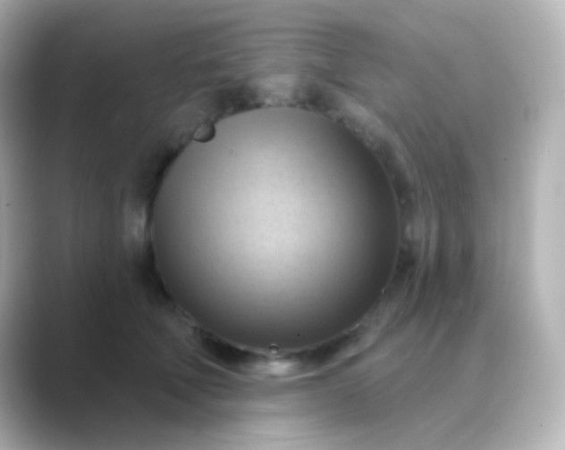 X0000088830610200706211816