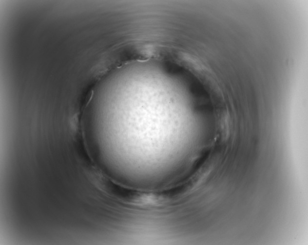 X0000088830611200706211816