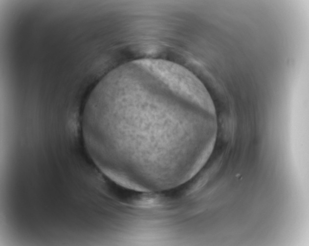 X0000088830612200706211816