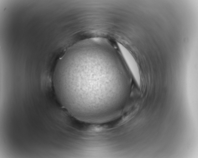 X0000088830613200706211816