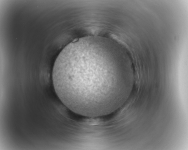 X0000088830615200706211816