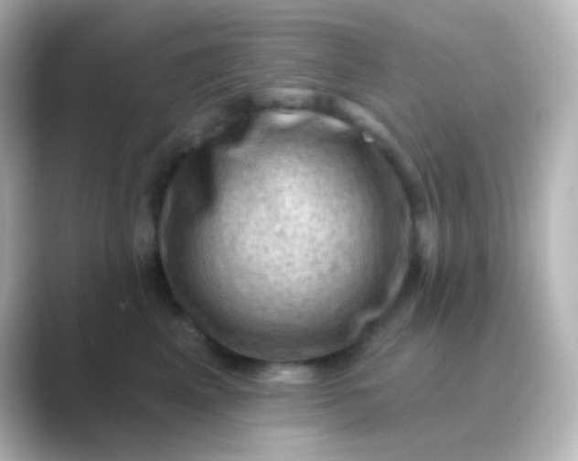 X0000088830617200706211816