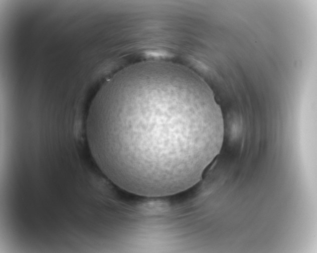 X0000088830619200706211816