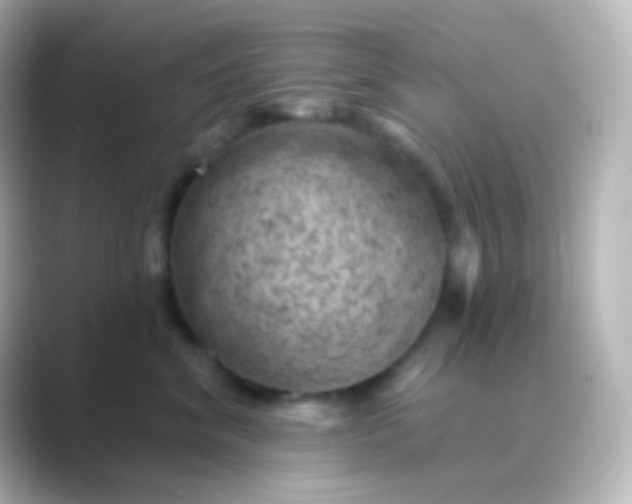 X0000088830620200706211816