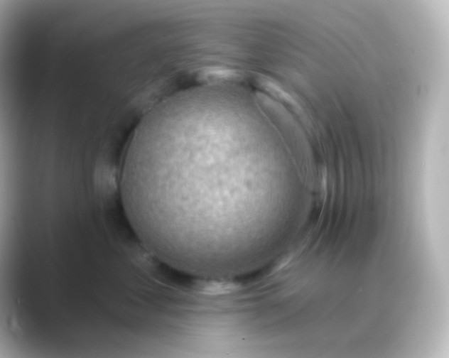 X0000088830621200706211816