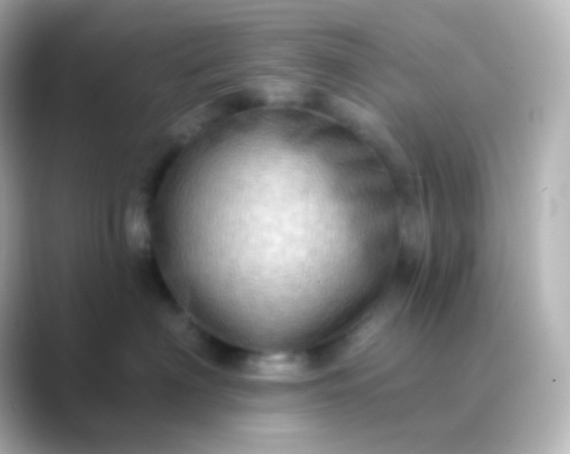 X0000088830622200706211816