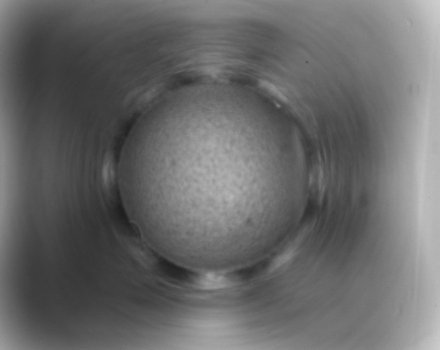 X0000088830623200706211816