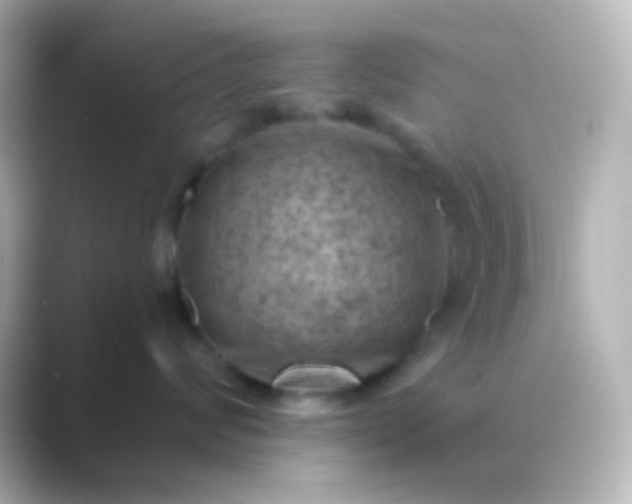 X0000088830624200706211816