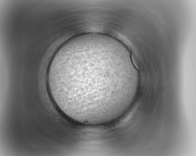 X0000088830625200706211815