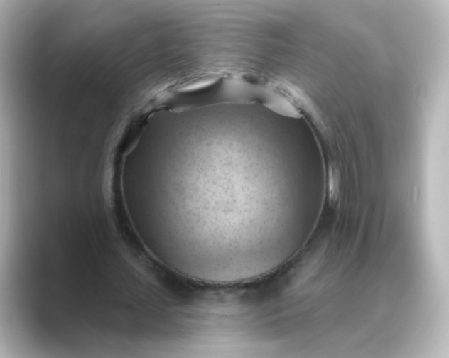 X0000088830627200706211815