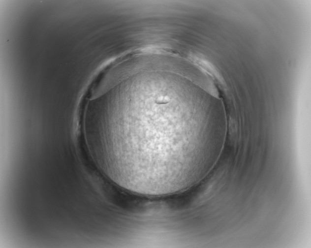 X0000088830628200706211815