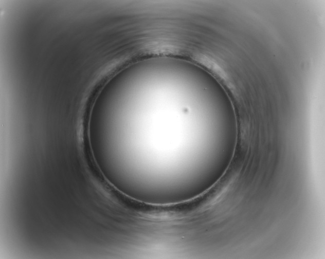 X0000088830629200706211815