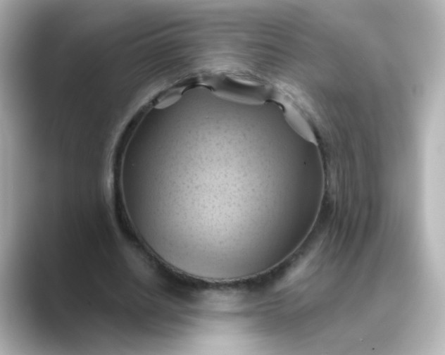 X0000088830630200706211815