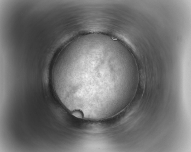 X0000088830631200706211815