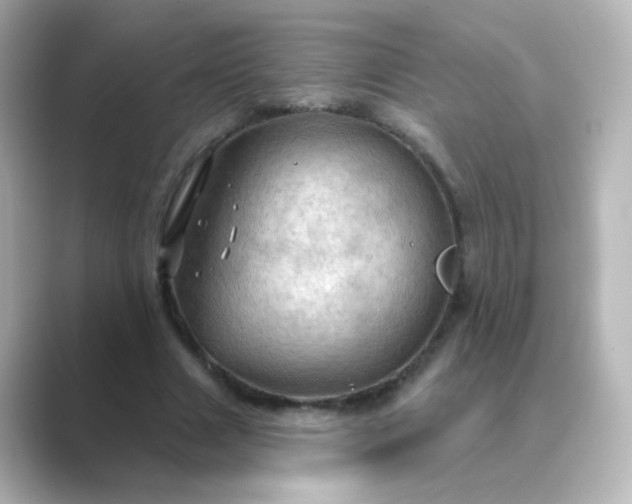 X0000088830633200706211815