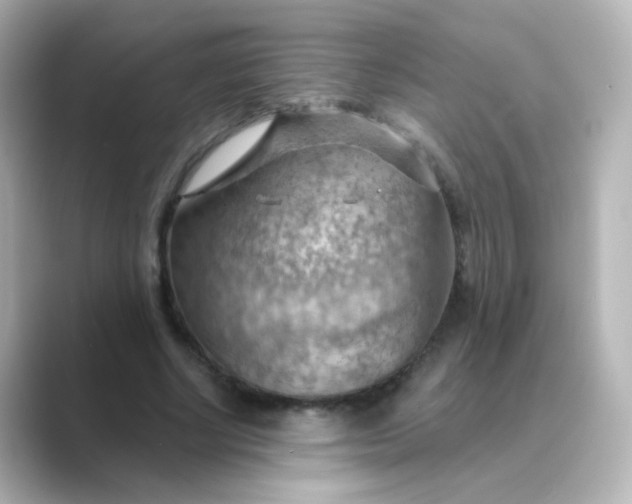 X0000088830634200706211815