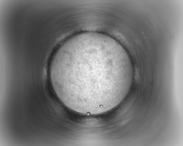 X0000088830636200706211815