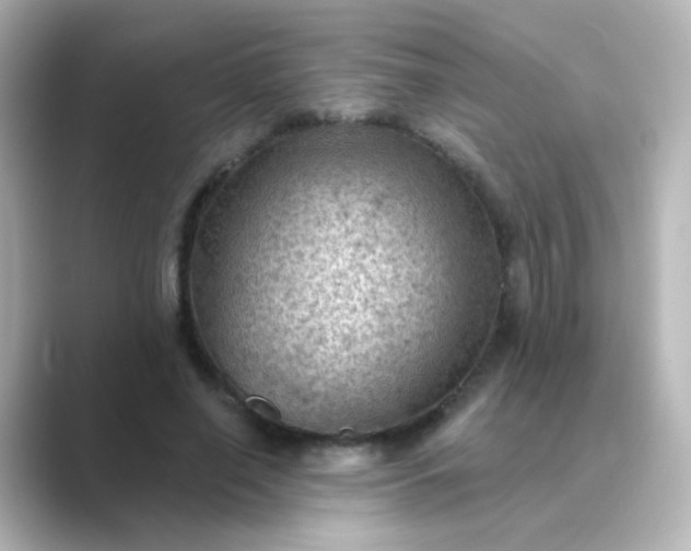 X0000088830638200706211815