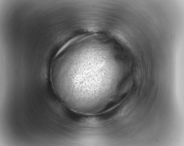 X0000088830639200706211815