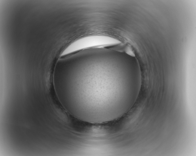 X0000088830641200706211815